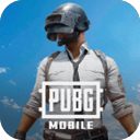 PUBG M(国际服)地铁逃生