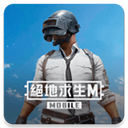 PUBG和平精英台服