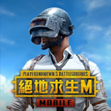 pubg国际服2025