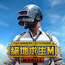 和平精英台服