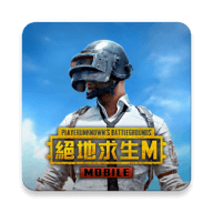绝地求生刺激战场国际服2.4