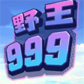 野王999
