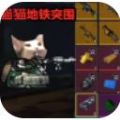 猫猫地铁突围