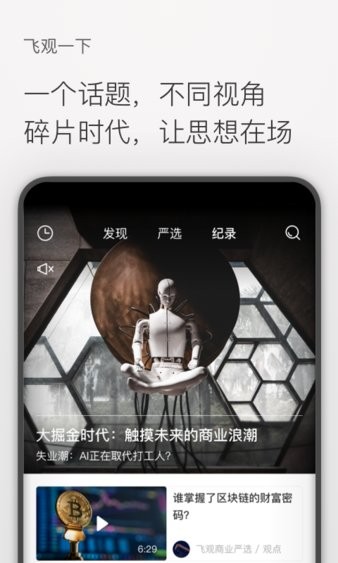 飞观最新版
