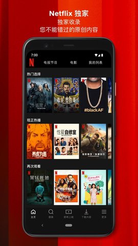 netflix苹果app