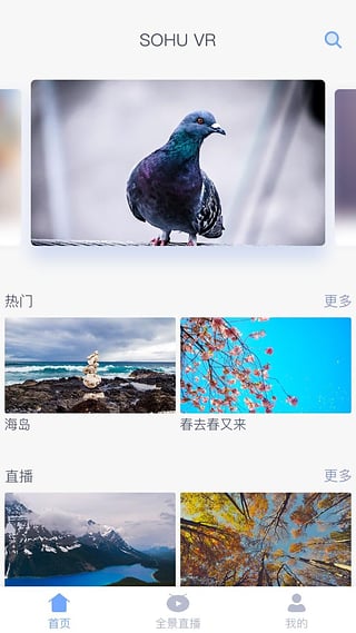搜狐视频vr版