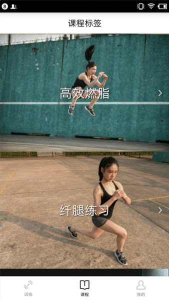 健身减肥宝典最新版
