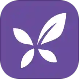 丁香园老版本