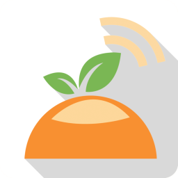 橙子网app