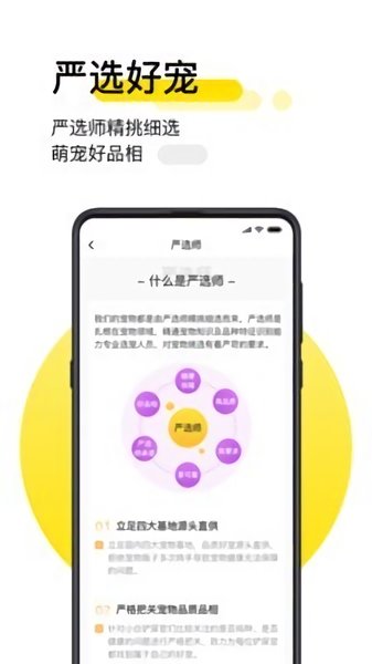 共宠软件