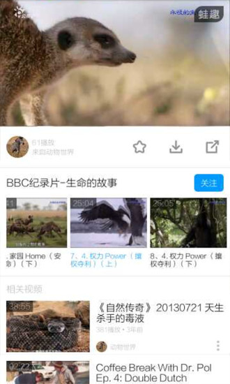 动物世界全集最新版