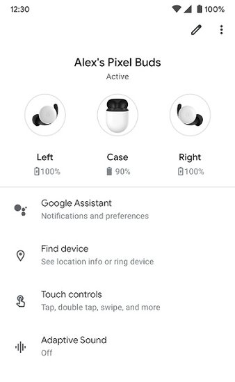 google pixel budsapp