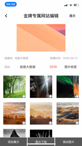 哪拍网app
