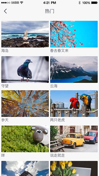 搜狐视频tv版apk