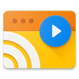 web video caster手机版